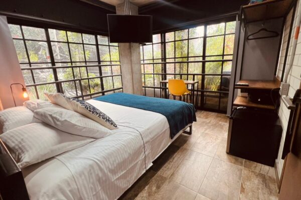 WhatsApp Image 2026-03-17 at 11.37.07 PM